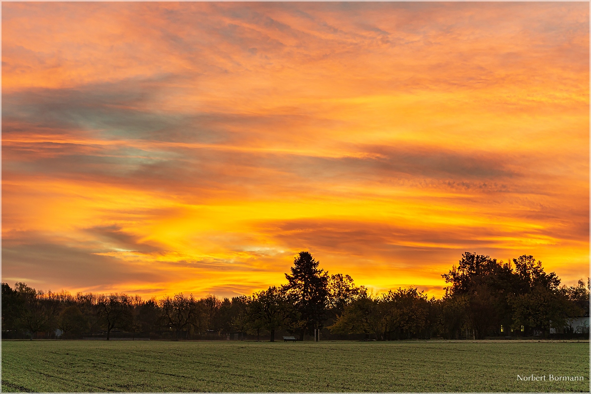 Sonnenaufgang im Botanischen Volkspark Blankenfelde