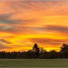 Sonnenaufgang im Botanischen Volkspark Blankenfelde