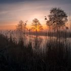 Sonnenaufgang im Bremer Blockland