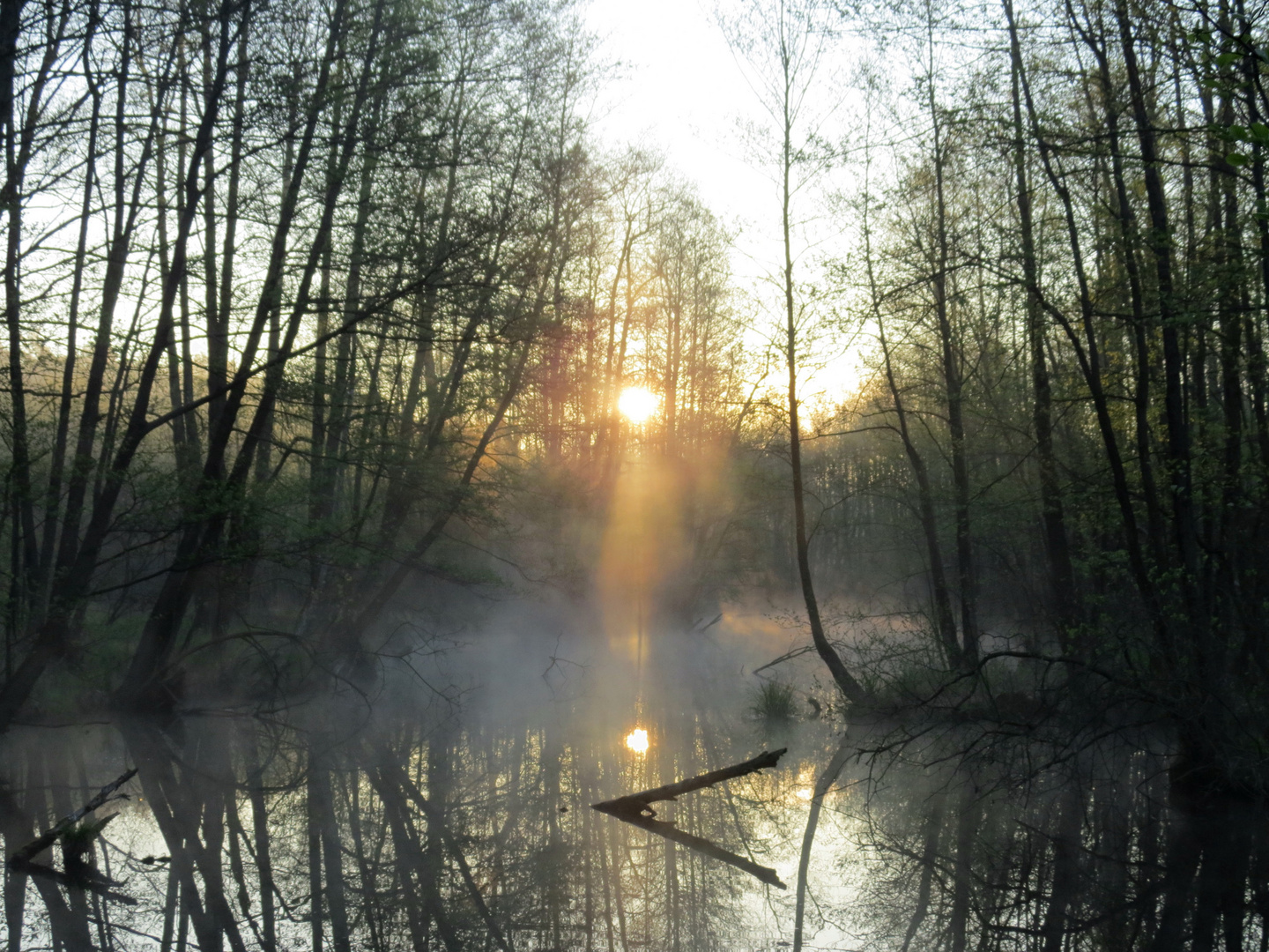 Sonnenaufgang im Brietal