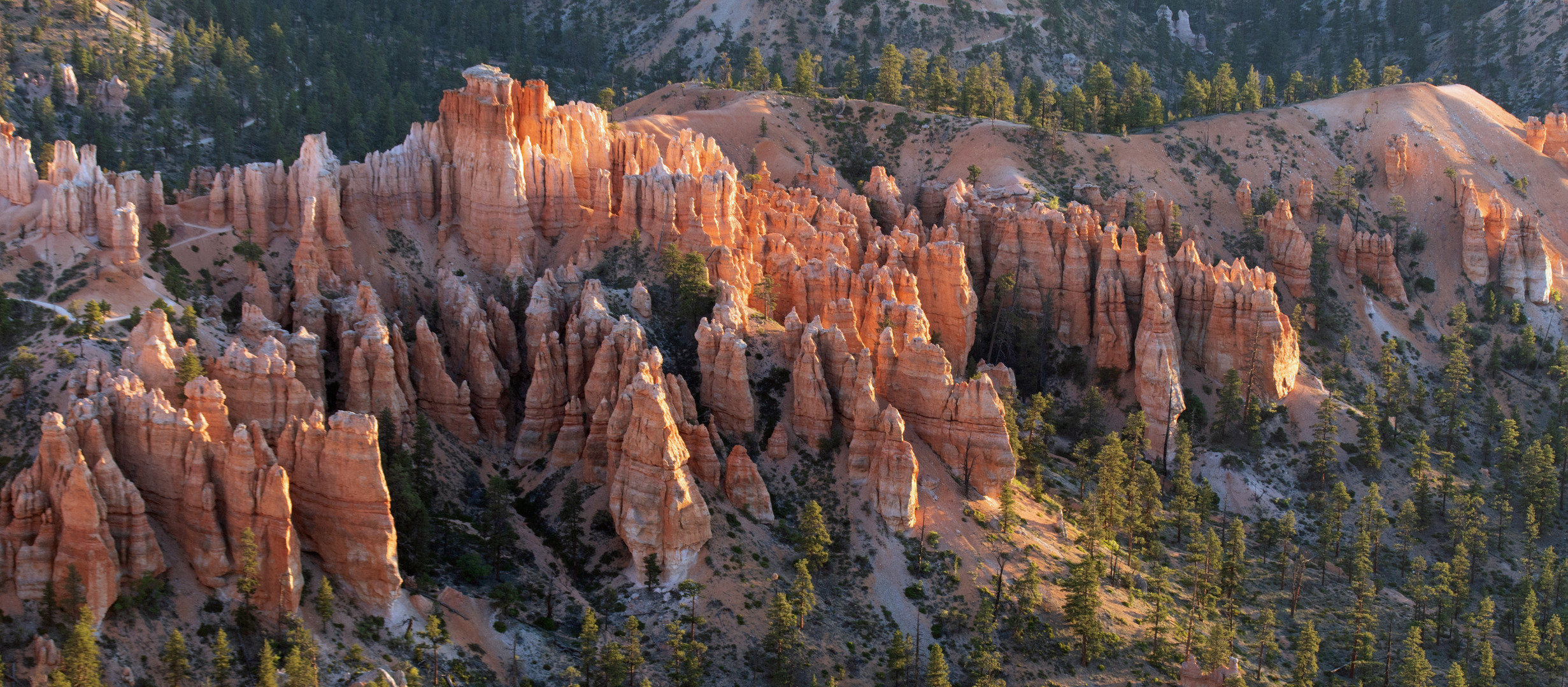 Sonnenaufgang im Bryce Canyon