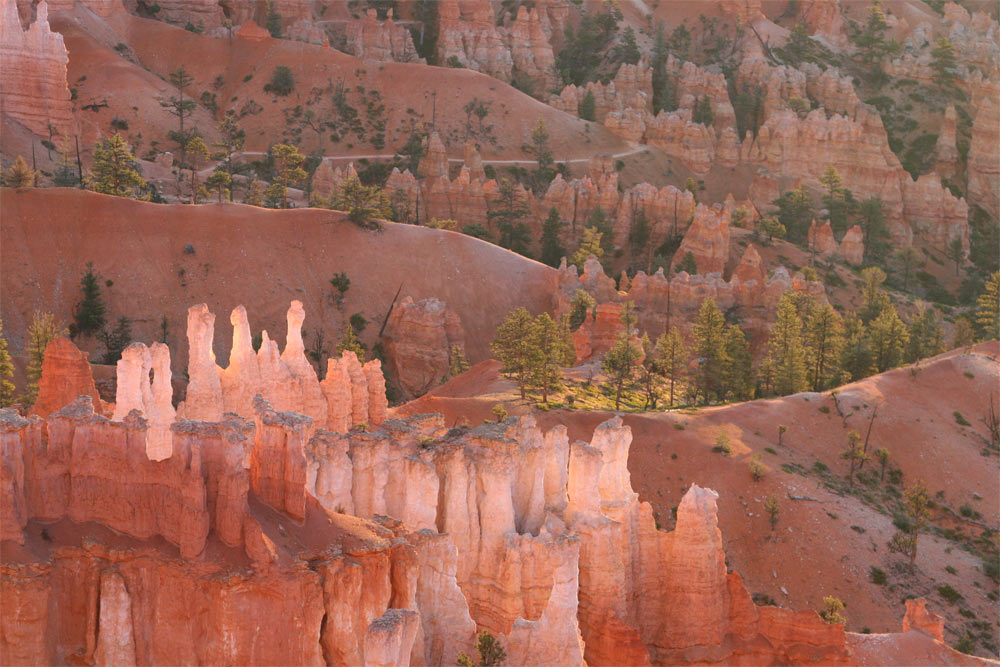 Sonnenaufgang im Bryce Canyon