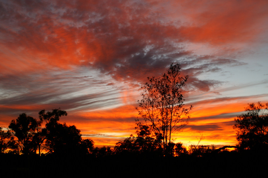 Sonnenaufgang im Bungle Bungle Nationalpark