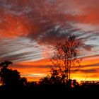 Sonnenaufgang im Bungle Bungle Nationalpark