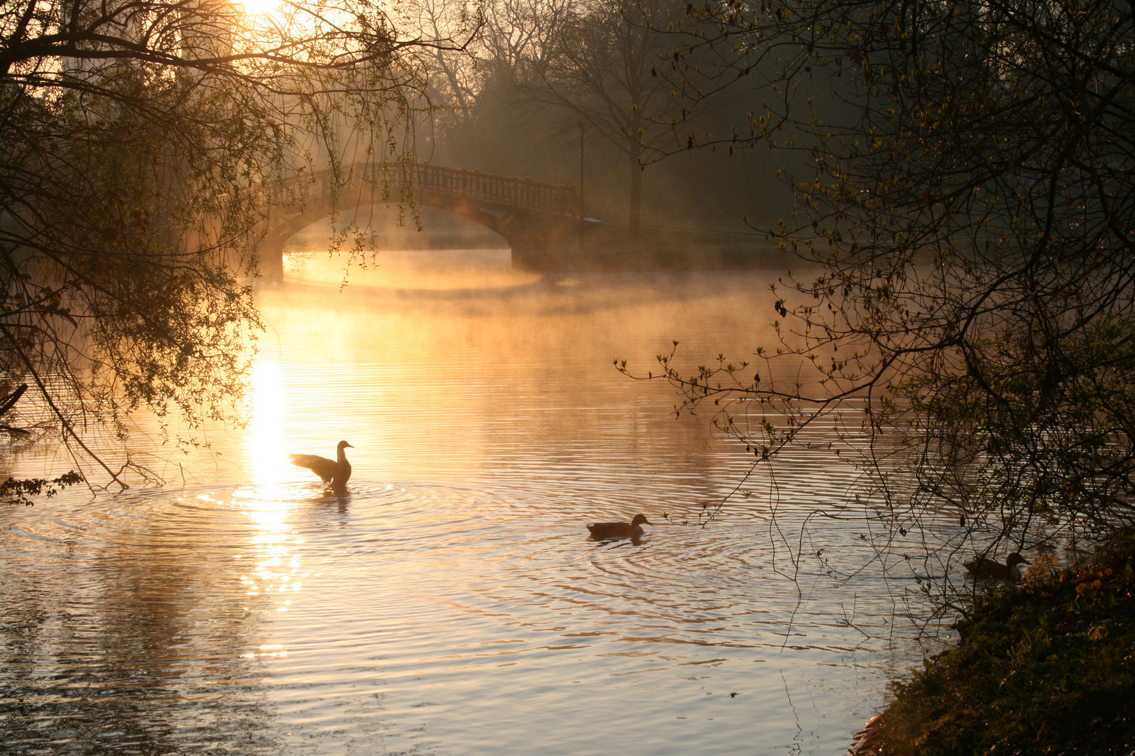 Sonnenaufgang im Clara-Zetkin-Park