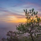 Sonnenaufgang im Dahner Felsenland