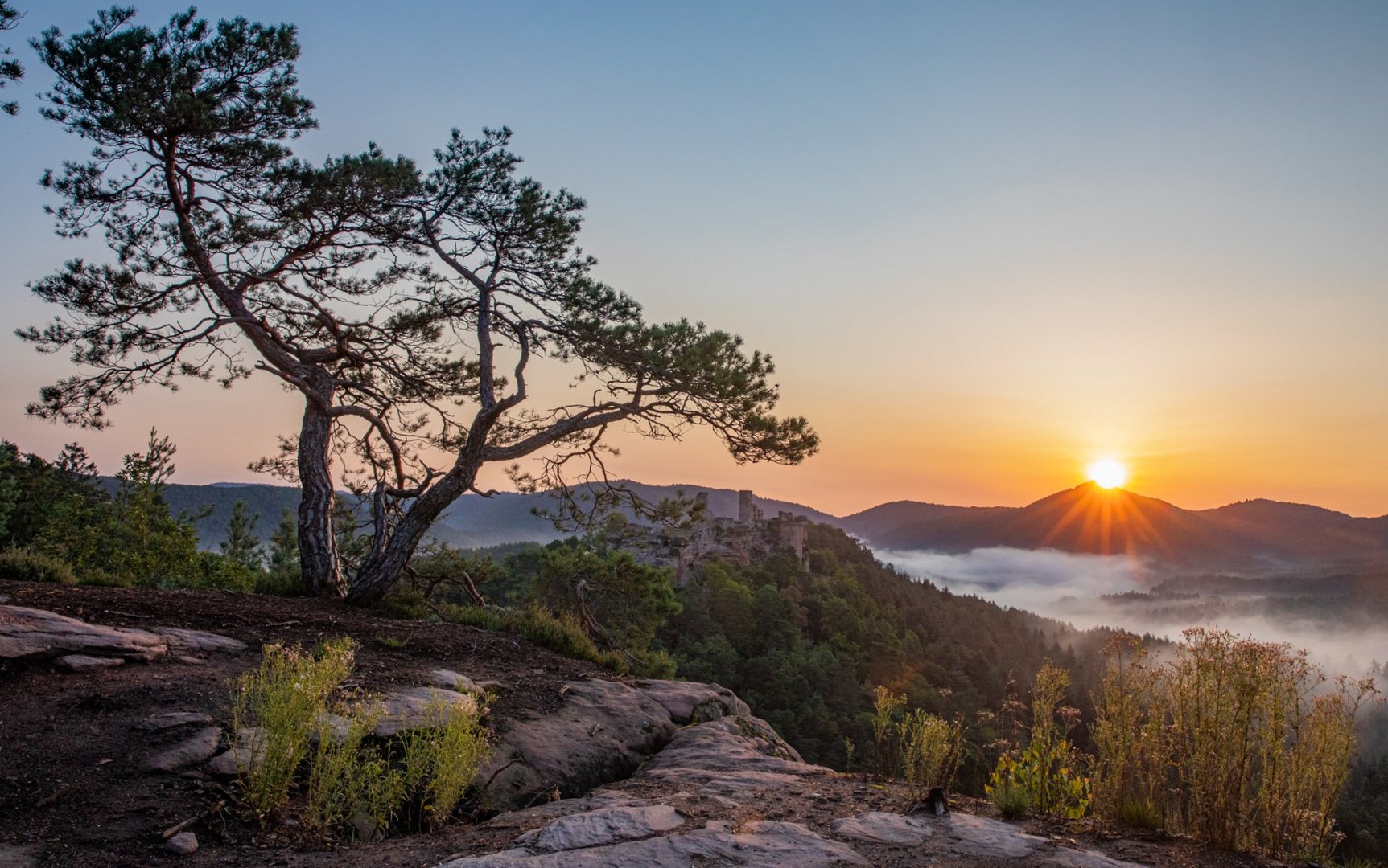 Sonnenaufgang im Dahner Felsenland