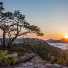 Sonnenaufgang im Dahner Felsenland