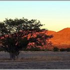 Sonnenaufgang im Damaraland