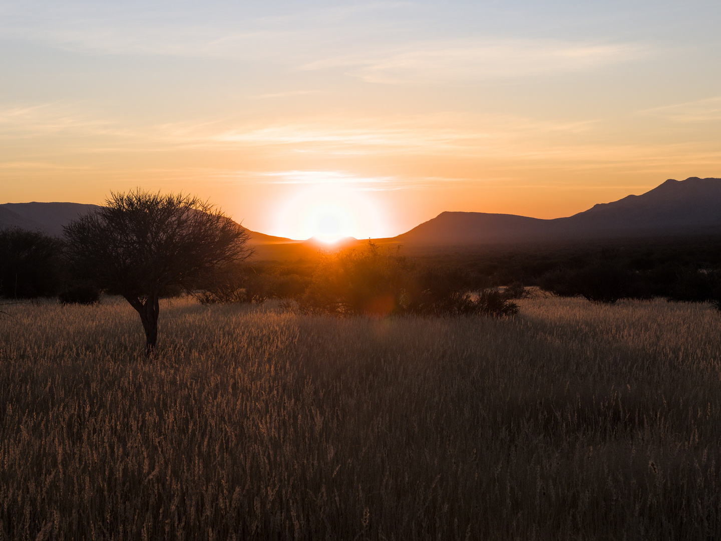 Sonnenaufgang im Damaraland