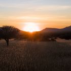 Sonnenaufgang im Damaraland