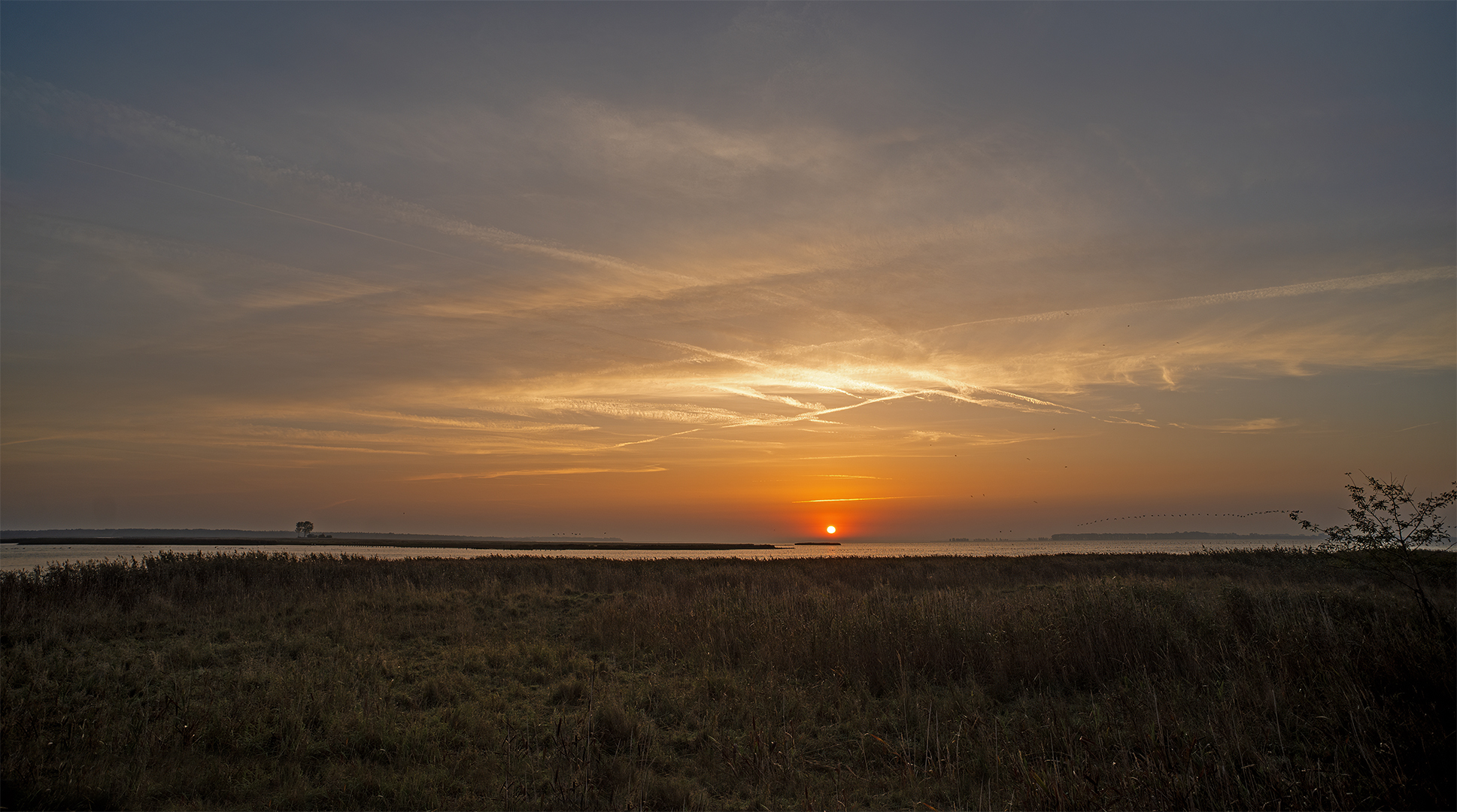 Sonnenaufgang im Darß