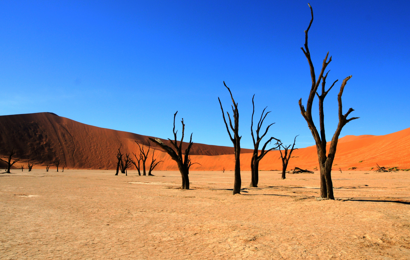 Sonnenaufgang im Dead Vlei, Namibia