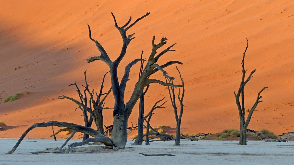 Sonnenaufgang im Deadvlei