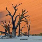 Sonnenaufgang im Deadvlei