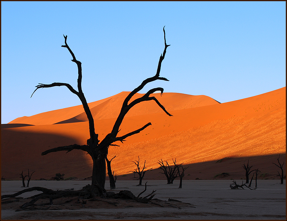 Sonnenaufgang im Deadvlei