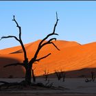 Sonnenaufgang im Deadvlei