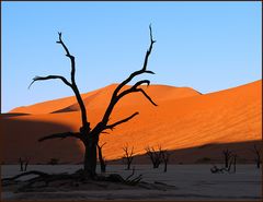 Sonnenaufgang im Deadvlei