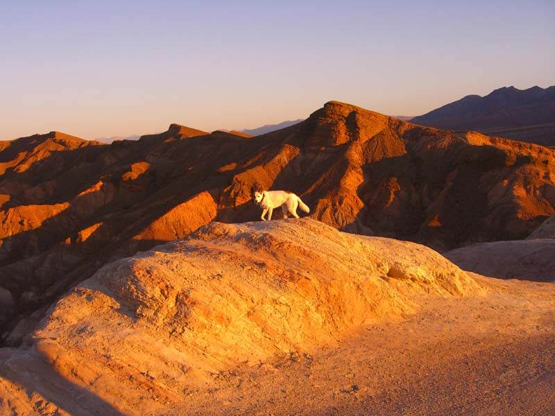 Sonnenaufgang im Death Valley