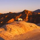 Sonnenaufgang im Death Valley