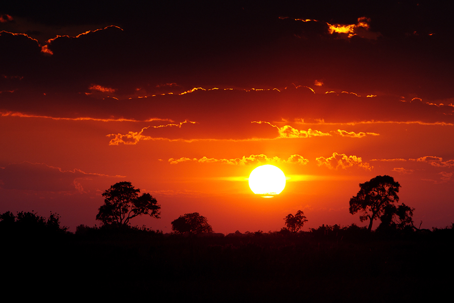 Sonnenaufgang im Delta