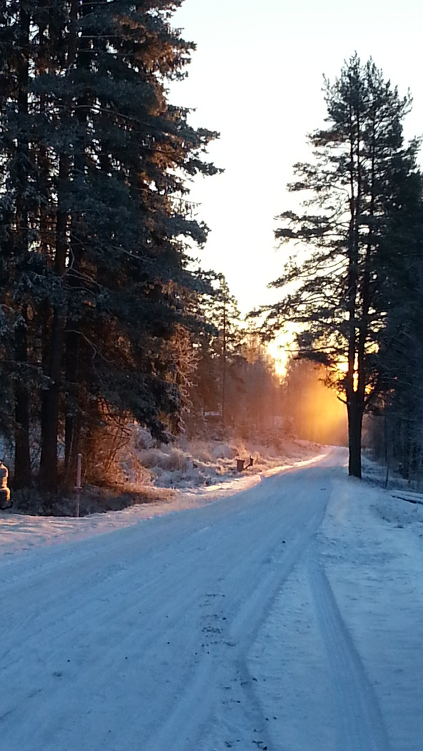 Sonnenaufgang im Dezember 2014 Schweden