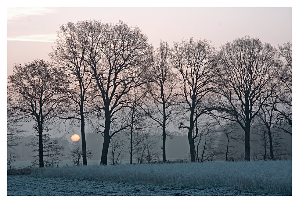 Sonnenaufgang im Dezember Foto & Bild jahreszeiten, winter, natur