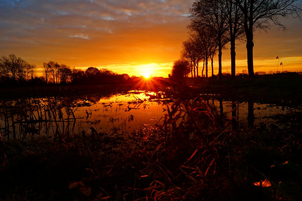 Sonnenaufgang im Dezember