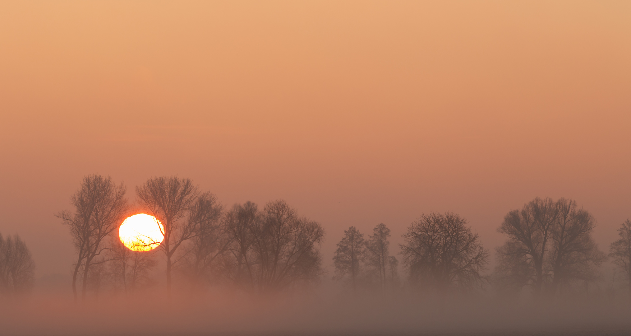 Sonnenaufgang im Dezember