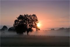 Sonnenaufgang im Diemeltal