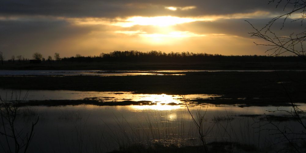 Sonnenaufgang im Diepholzer Moor I