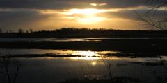 Sonnenaufgang im Diepholzer Moor I