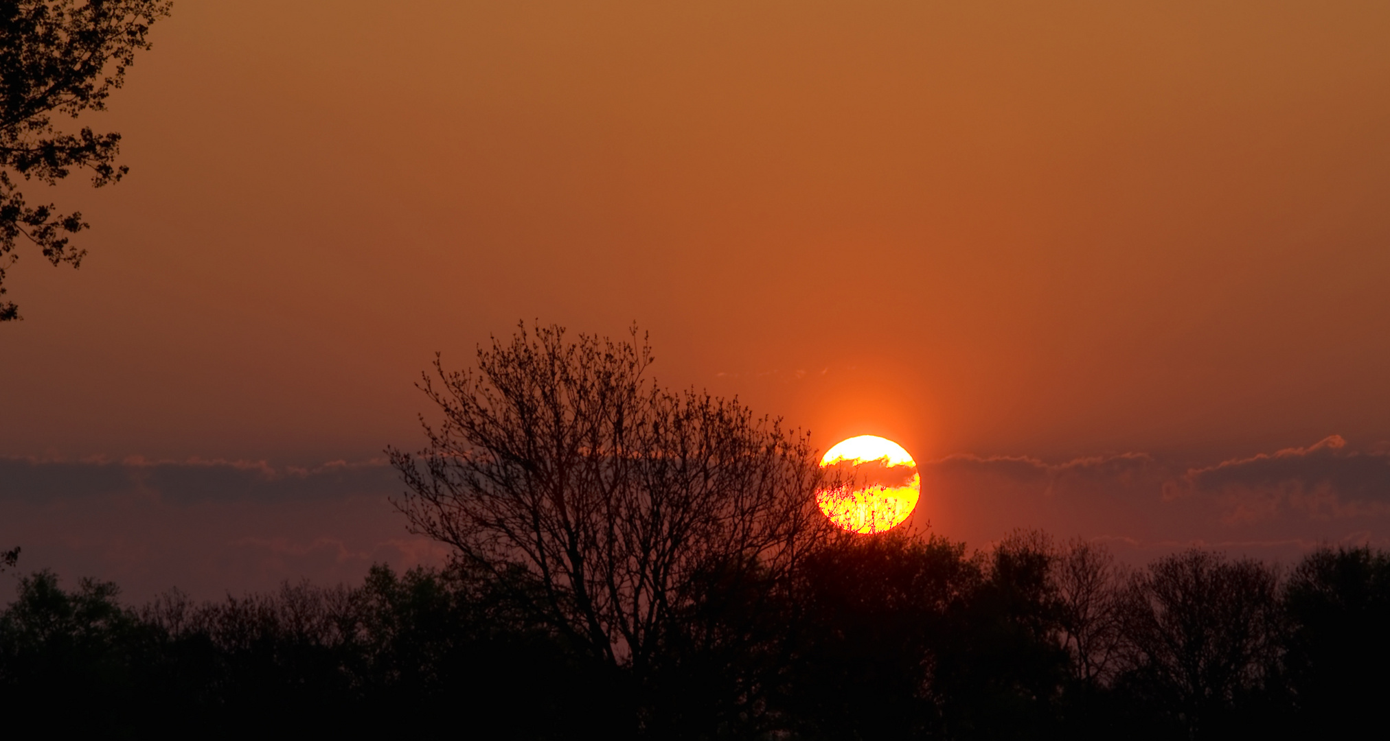 Sonnenaufgang im Donauried