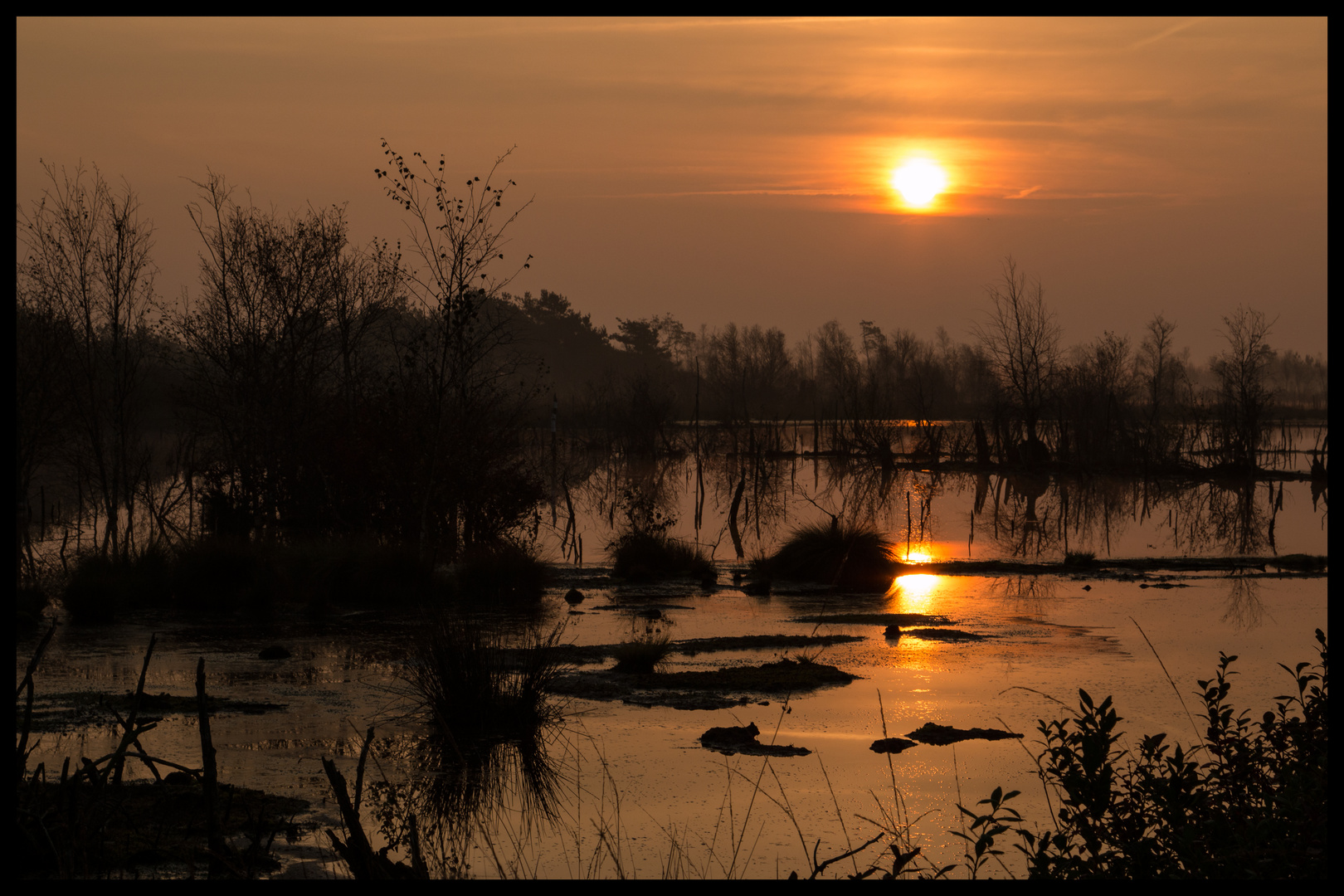 Sonnenaufgang im Dreiecksmoor