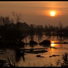 Sonnenaufgang im Dreiecksmoor