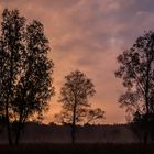 Sonnenaufgang im Duvenstedter Brook