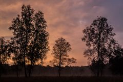 Sonnenaufgang im Duvenstedter Brook