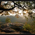 Sonnenaufgang im Elbsandsteingebirge