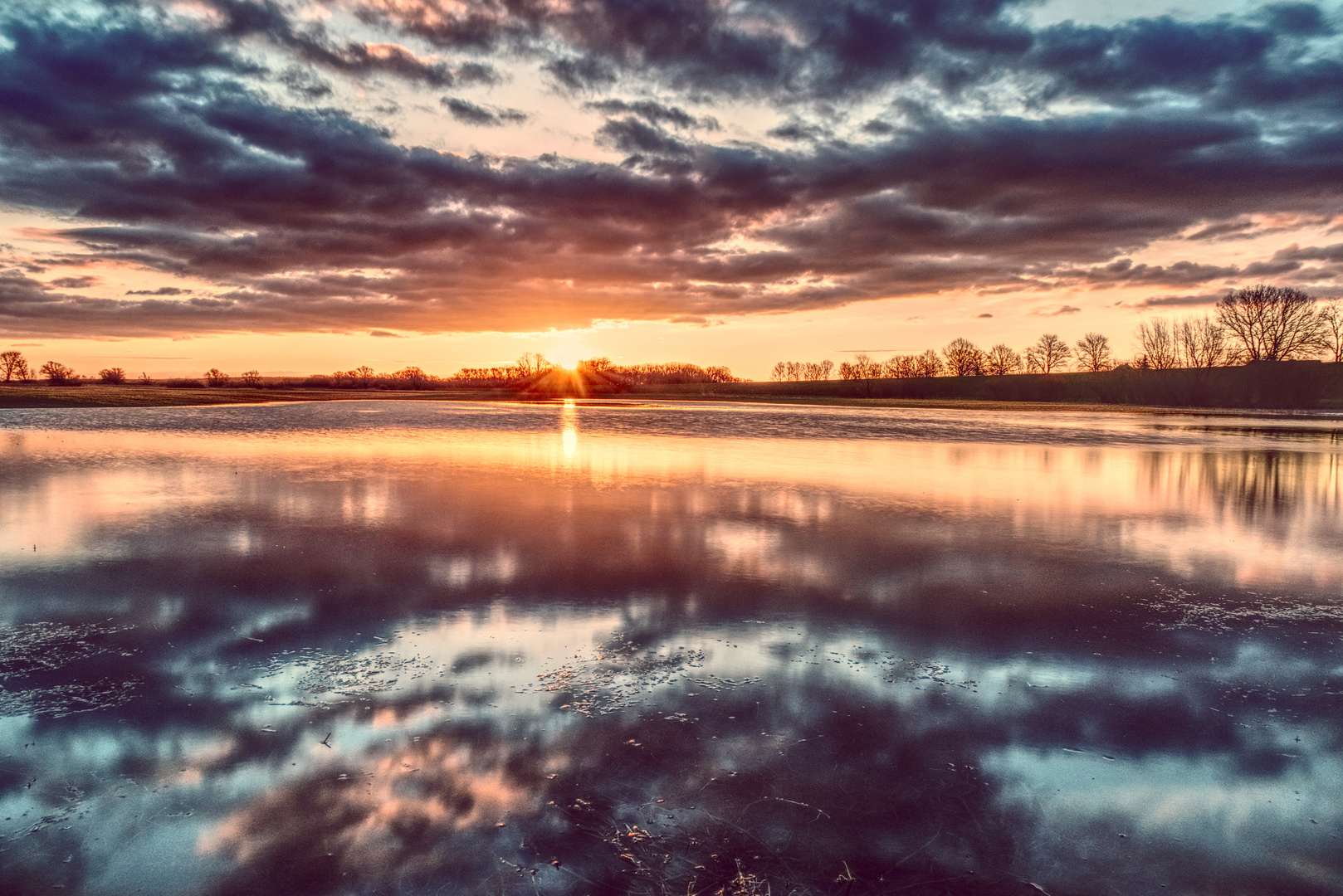 Sonnenaufgang im Elbvorland