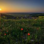 Sonnenaufgang im Elsass