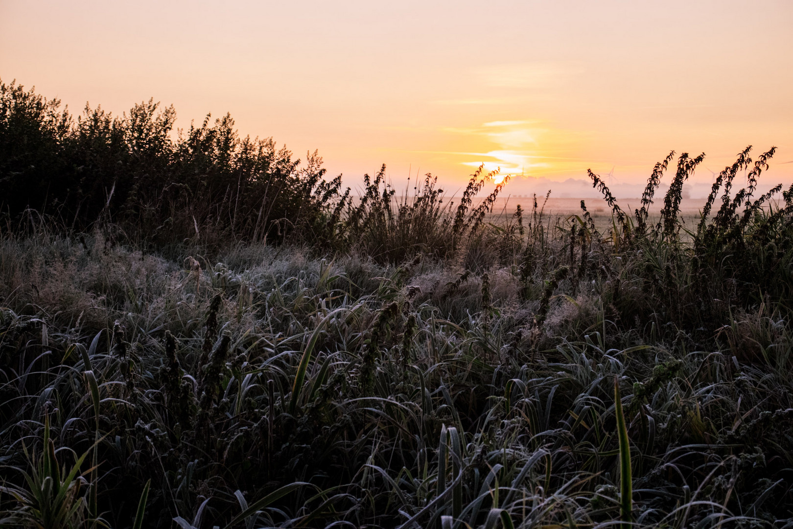 Sonnenaufgang im ersten Frost