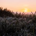 Sonnenaufgang im ersten Frost