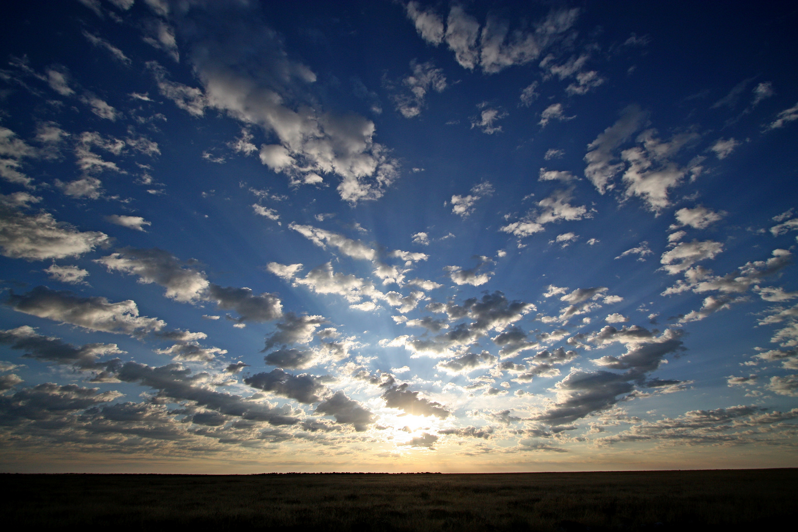 Sonnenaufgang im Etosha NP