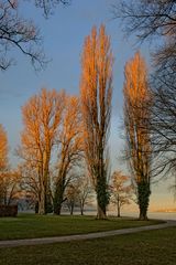 Sonnenaufgang im Feldbach