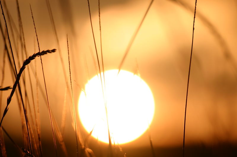 Sonnenaufgang im Fichtelgebirge