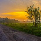 Sonnenaufgang im Fiener Bruch