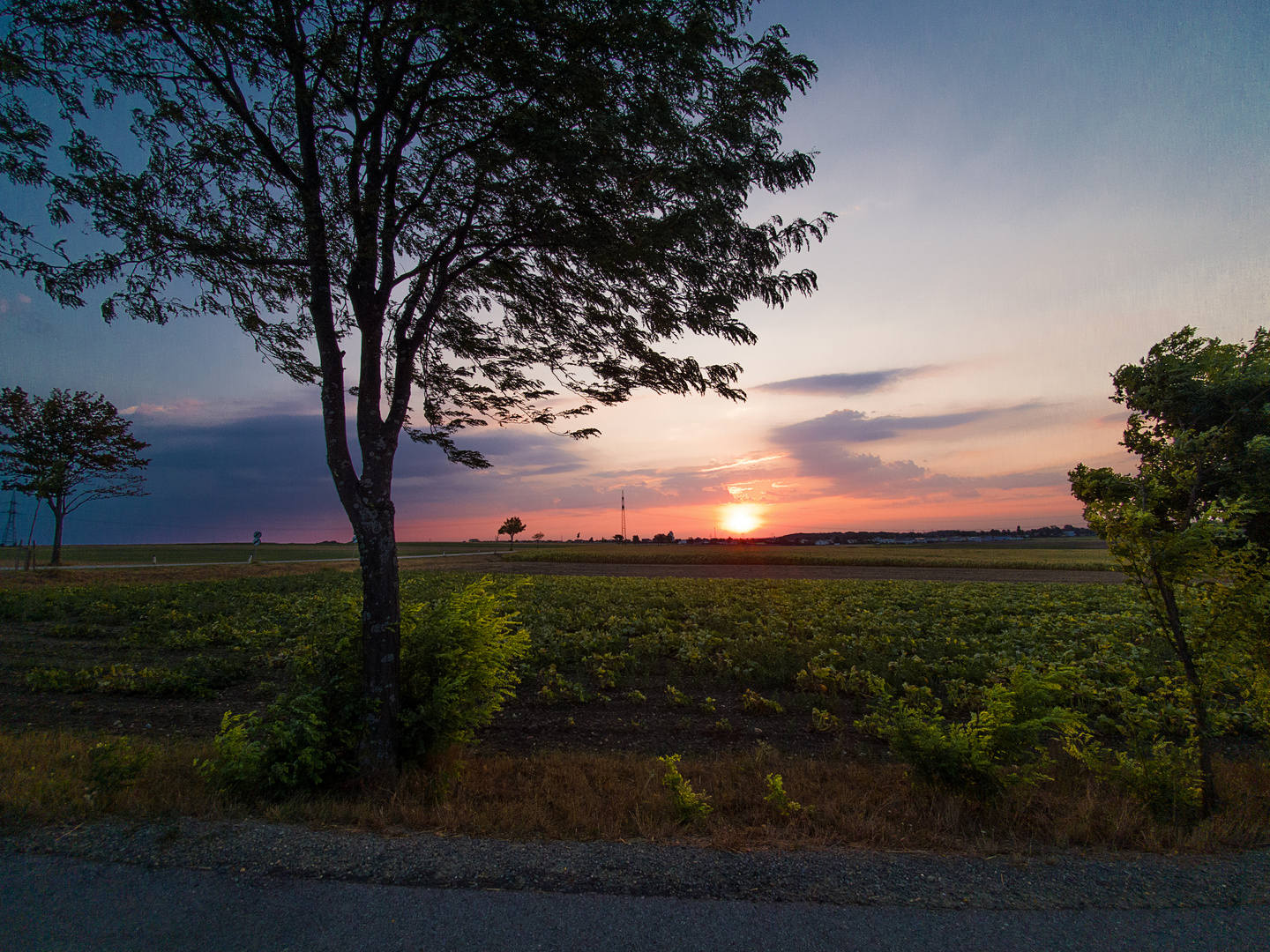 Sonnenaufgang im flachen Osten