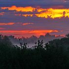 Sonnenaufgang im Fotorevier