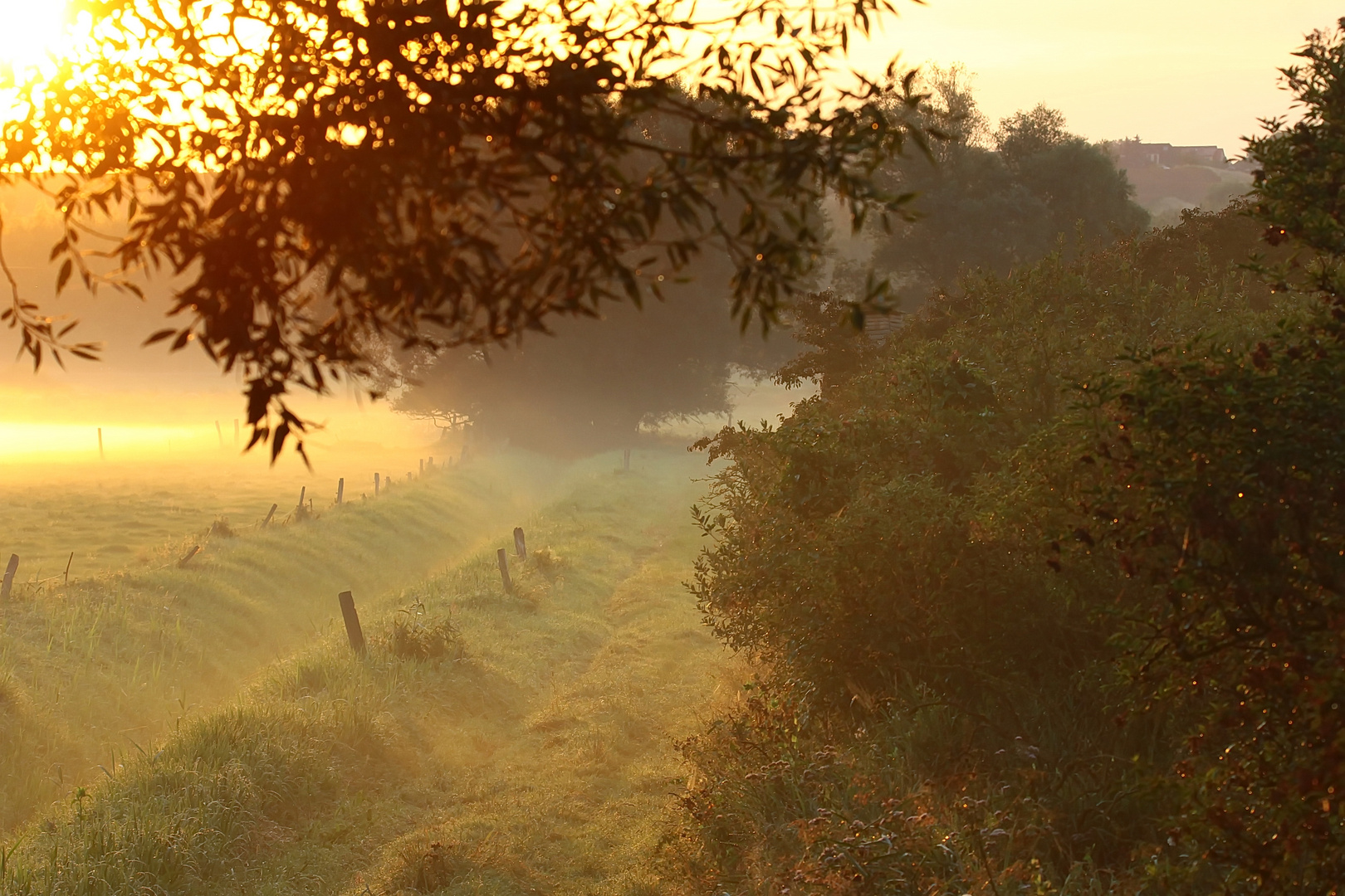 Sonnenaufgang im Fotorevier