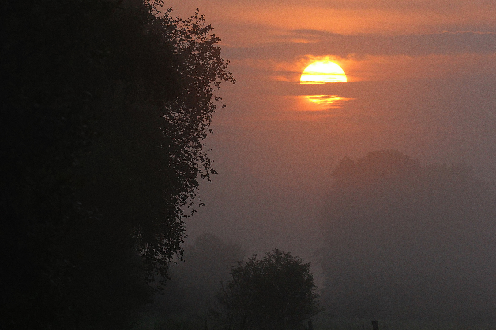 Sonnenaufgang im Fotorevier